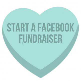 Facebook Fundraiser Button