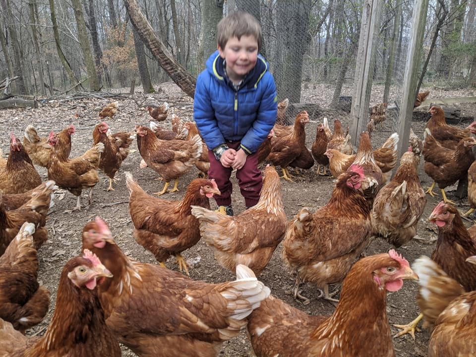 94716451_2858365327583538_4498404692627292160_n boy with chickens
