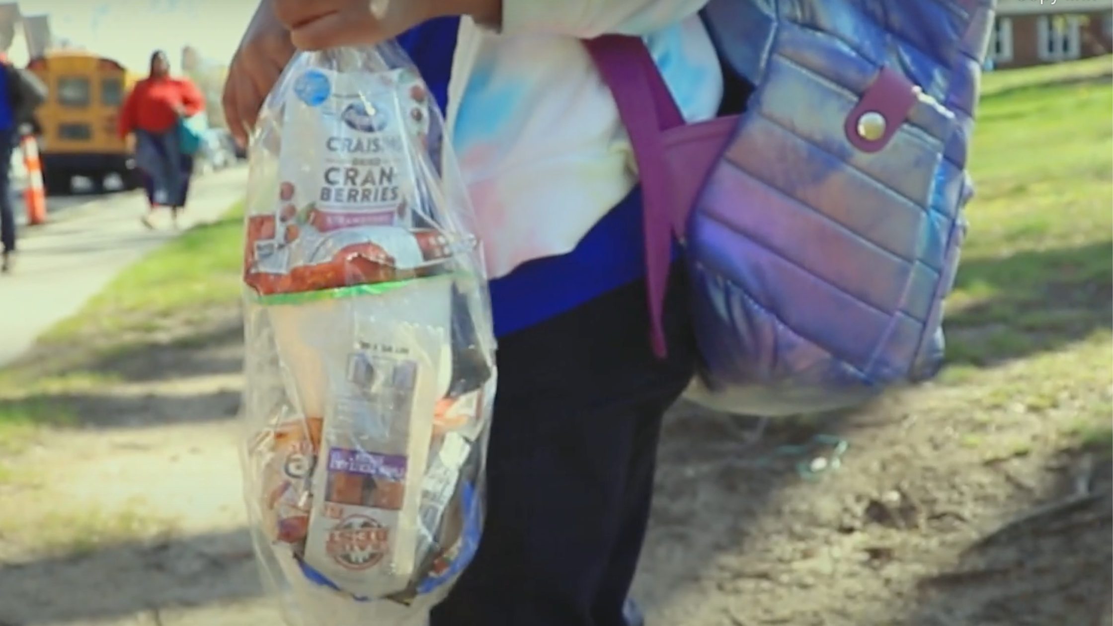 Girl with prepacked food