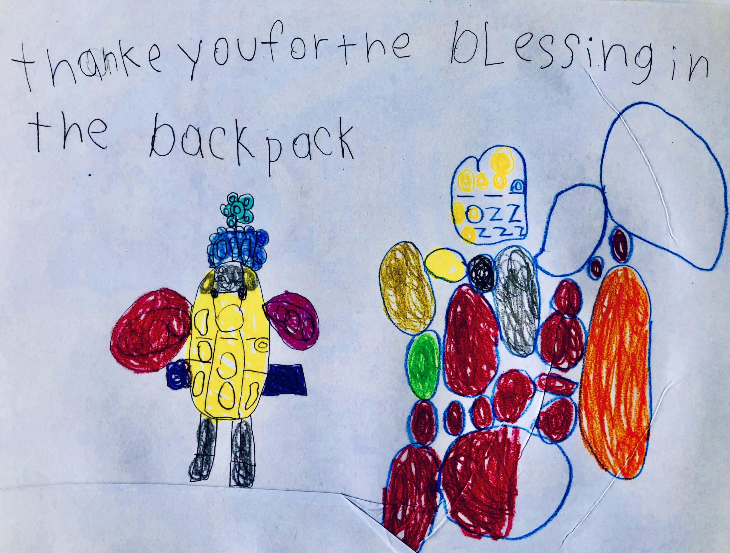 Volunteer Spotlight: Sunny Barish
