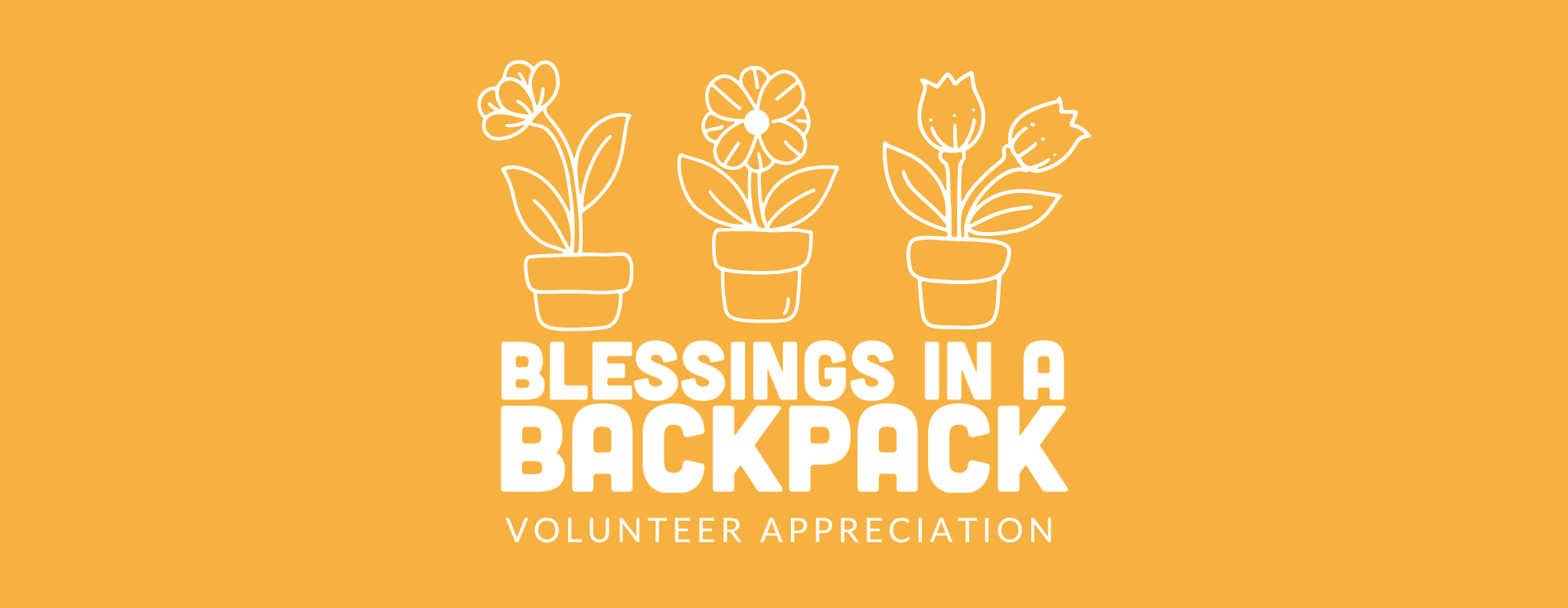 Volunteer Month Recap