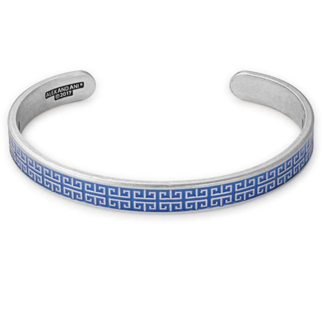 alex and ani cuff alex and ani cuff