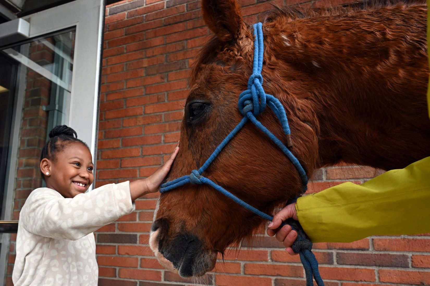 Child with a horse at Unbridled Afternoon Child with a horse at Unbridled Afternoon